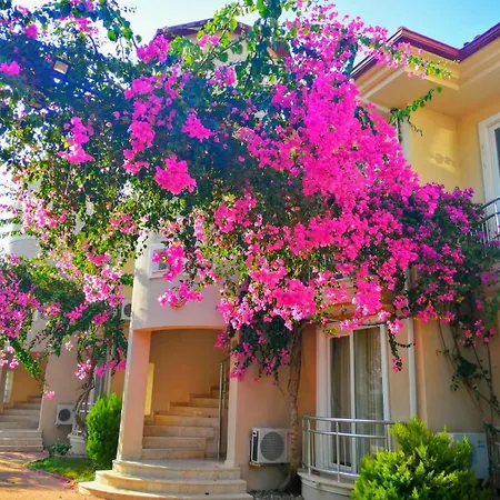 Villa Calis 2 Apartament *